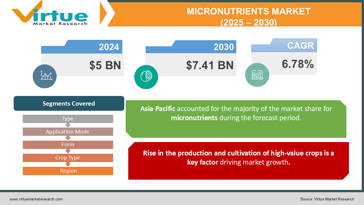 MICRONUTRIENTS MARKET 